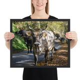 Tableau Taureau sur la route