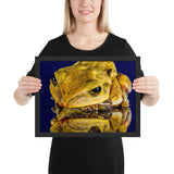 Tableau de Grenouille bacterien