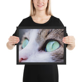 Tableau photo chat zoom sur ses yeux