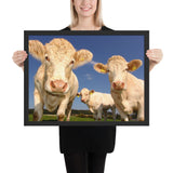 Tableau avec des Vaches Blanches
