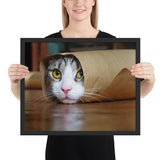 Tableau chat rigolo burritos mexicain