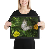 Tableau Animaux Ailes de Papillons (Noir)