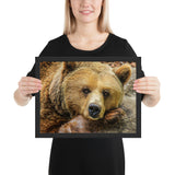 Tableau Animaux Grizzly (Sieste du Jour)