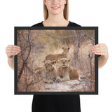 Tableau Famille Lion Savane de dos