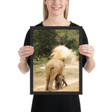 Tableau Animaux Africain Éléphant