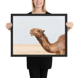 Tableau Chameau Désert de Face