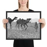 Tableau Chameau Désert Noir et Blanc Tourisme