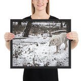 Tableau Loup Blanc Moderne