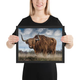 Tableau Animaux Vache Ecossaise (Montagne)