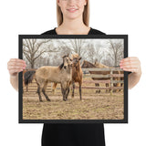 Tableau Déco Chevaux Sauvages