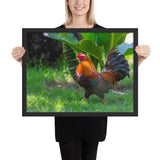 Tableau Coq aux Plumes Noires