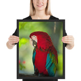 Tableau Déco avec Perroquet