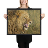 Tableau d'un Lion mangeant