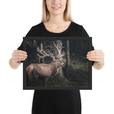 Tableau Animaux Caribou Une Nuit En Forêt