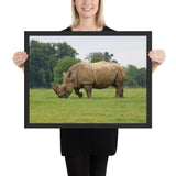 Tableau Rhinocéros Mangeant