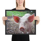 Tableau Cochon Rose Mignon