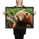 Tableau Panda Roux Moderne