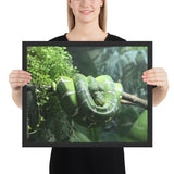 Tableau de Serpent Vert Émeraude et Blanc