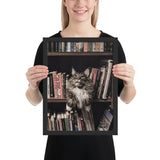 Tableau Animaux Chat Original (Bibliothèque)