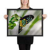 Tableau Moderne Papillon Vert
