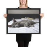 Tableau Chat sur un fauteuil Enfant