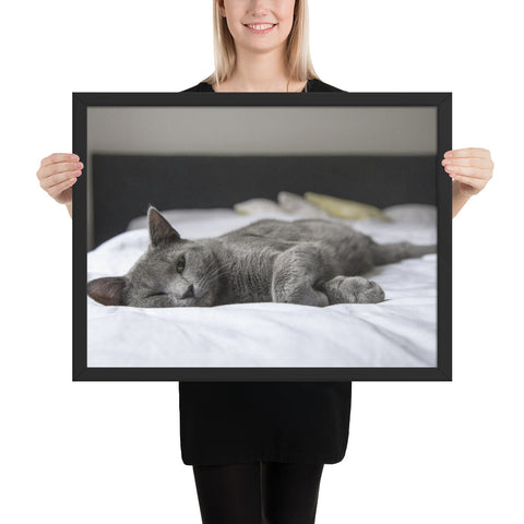 Tableau Chat sur un fauteuil Enfant