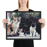 Tableau Chat Rigolo Multicolore