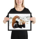 Tableau Panda Roux Neige