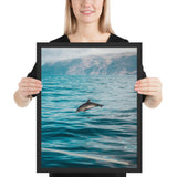 Tableau Dauphin Nageant