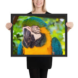 Tableau Jungle Perroquet Bleu