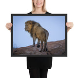 Tableau Lion en Couleur Soleil