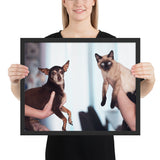 Tableau Chihuahua et le Chat