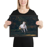 Tableau Chevaux Blancs Sauvages