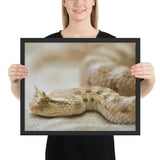 Tableau de Serpent à Cornes du Desert