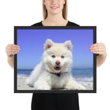 Tableau d'un Chien à Poils Longs