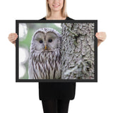 Tableau Hibou Bébé derrière l'arbre