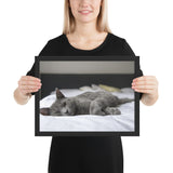 Tableau Chat Gris sur un fauteuil