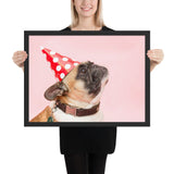 Chien Habillé pour un anniversaire