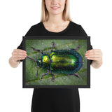 Tableau Scarabée Noir