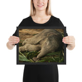 Tableau Eléphant Bébé Moderne