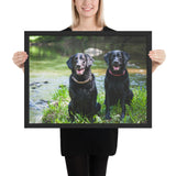 Tableau Labradors Noirs Deux frères