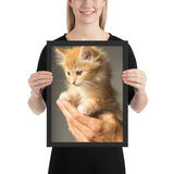 Tableau Chaton Pelage