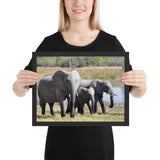 Tableau Famille Eléphant Géante