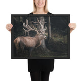 Tableau Caribou Une Nuit se Baladant