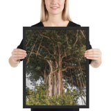 toile deco tropical jungle