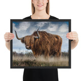 Tableau Vache Ecossaise Haute Herbe