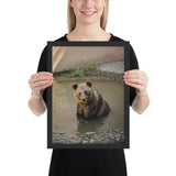 Tableau Ours Brun Moderne