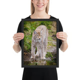 Tableau Moderne Lynx