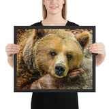 Tableau Grizzly se reposant