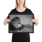 Tableau Animaux de Lion Noir et Blanc